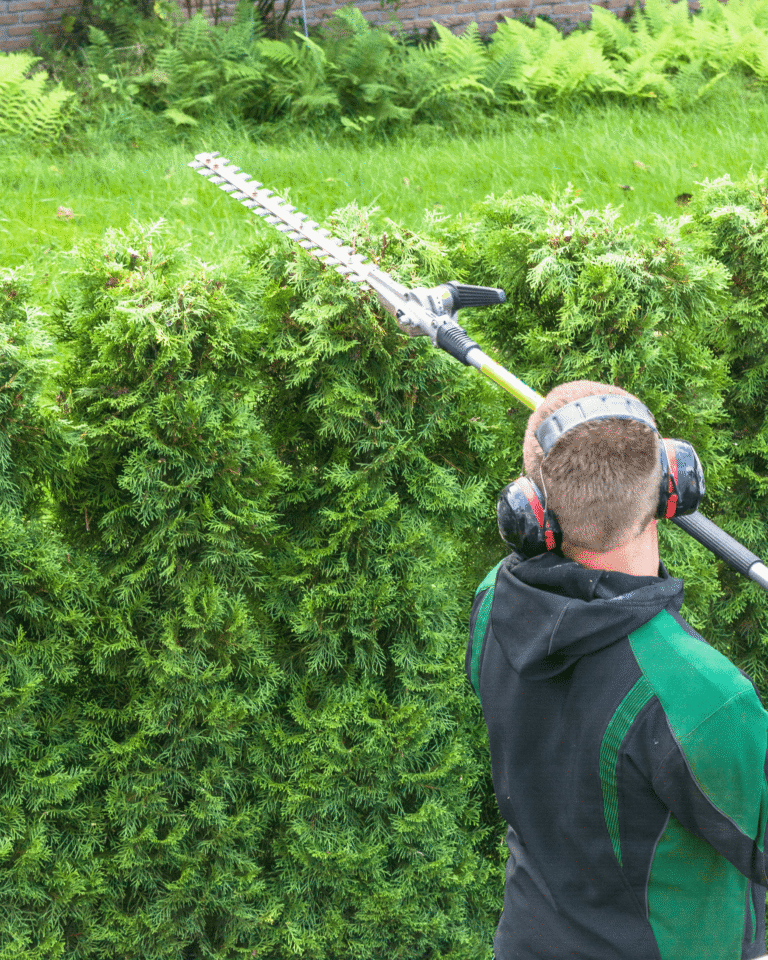 Why Businesses and Landowners in Cheshire Are Investing in Professional Grounds Maintenance