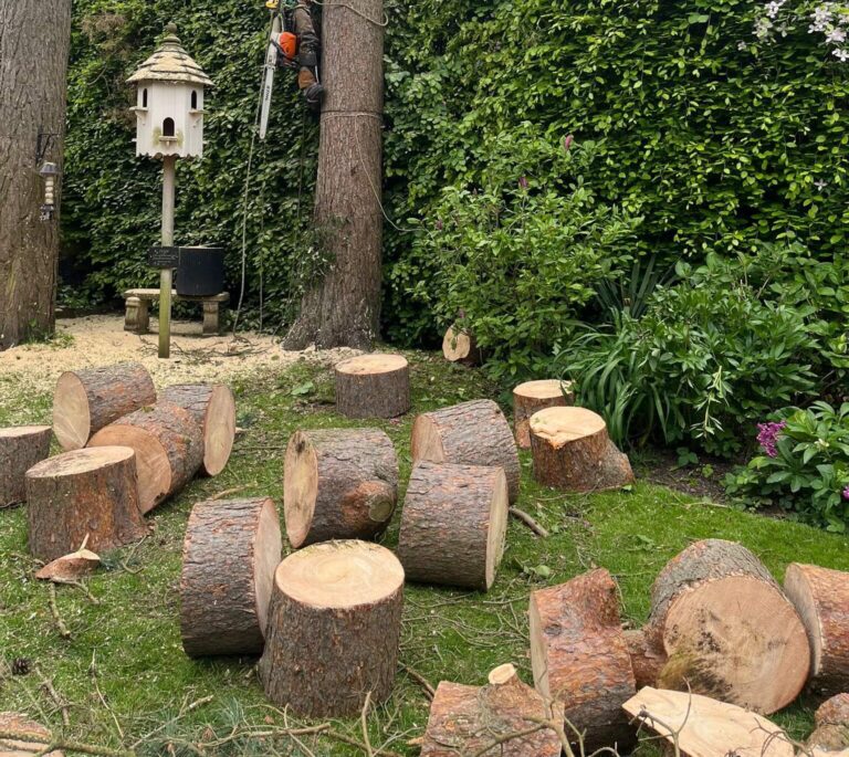 Why It Pays To Remove Dangerous Trees Early in Hartford, Northwich
